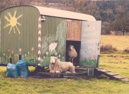 i-sheep-698173_1920.jpg